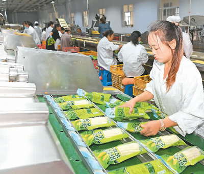 “十四五”農(nóng)業(yè)綠色發(fā)展路線圖 農(nóng)業(yè)開(kāi)發(fā)的新篇章