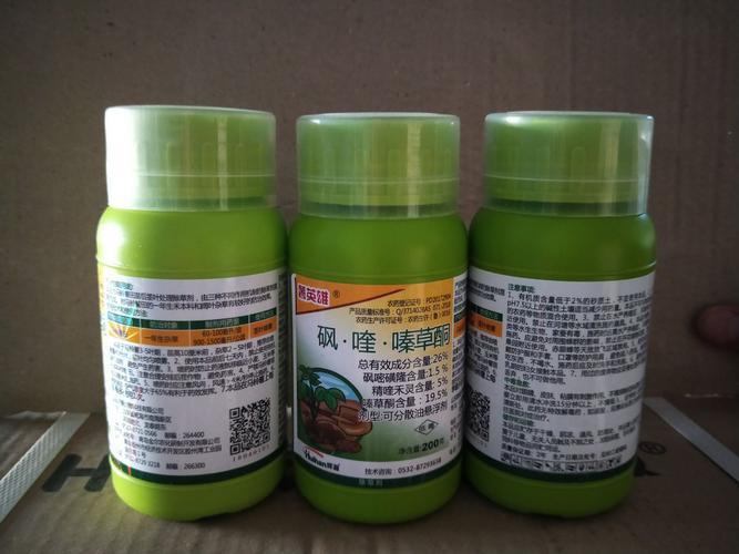四子王旗 北疆草原上的農(nóng)業(yè)創(chuàng)新之路